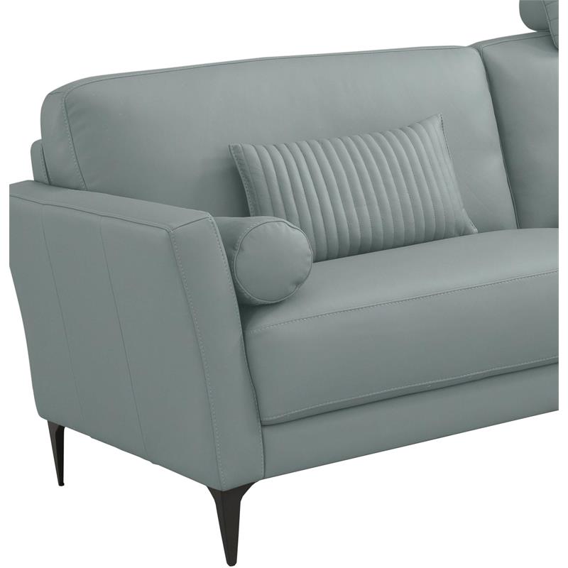 ACME Tussio Upholstery Sofa with 5 Pillows in Watery Leather