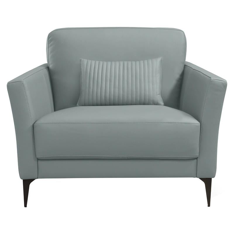 ACME Tussio Upholstery Arm Chair with Pillow in Watery Leather