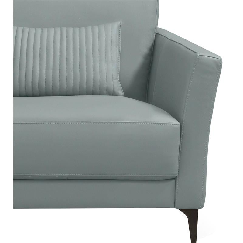 ACME Tussio Upholstery Arm Chair with Pillow in Watery Leather