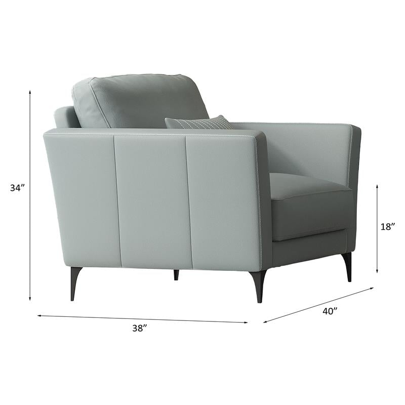 ACME Tussio Upholstery Arm Chair with Pillow in Watery Leather