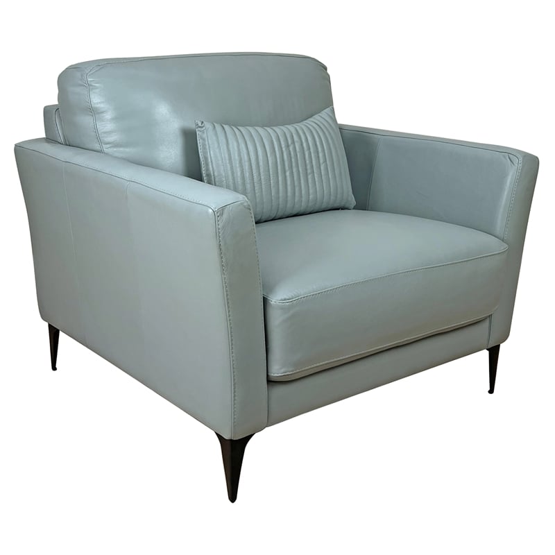 ACME Tussio Upholstery Arm Chair with Pillow in Watery Leather