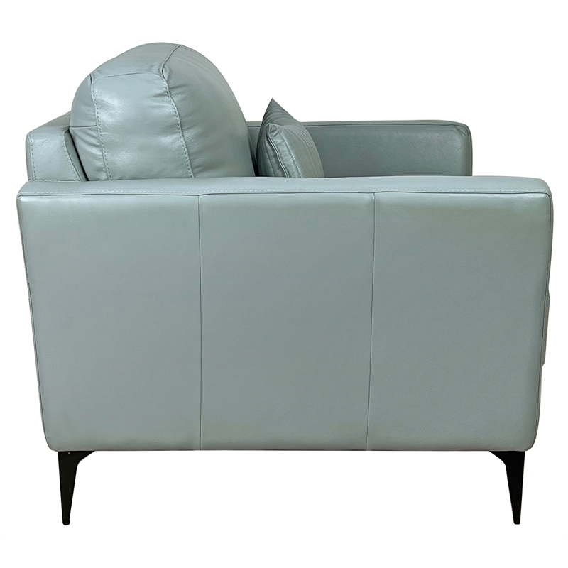 ACME Tussio Upholstery Arm Chair with Pillow in Watery Leather