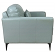 ACME Tussio Upholstery Arm Chair with Pillow in Watery Leather