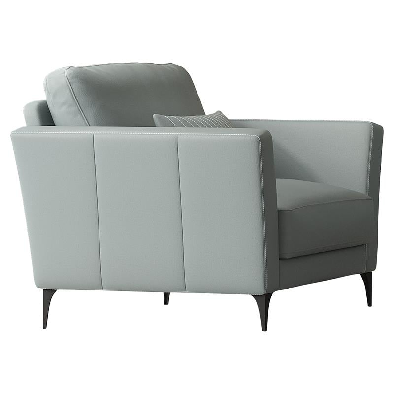 ACME Tussio Upholstery Arm Chair with Pillow in Watery Leather