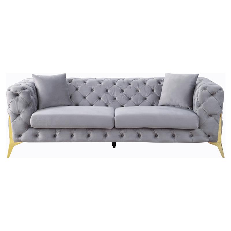 ACME Jelanea Velvet Tufted Upholstery Sofa with 2 Pillows in Gray and Gold