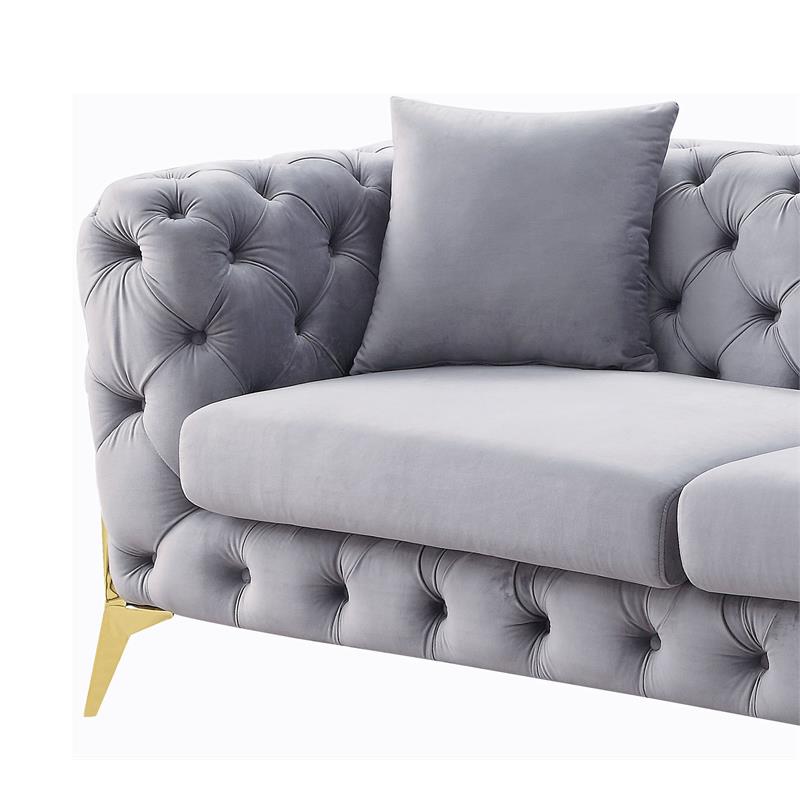 ACME Jelanea Velvet Tufted Upholstery Sofa with 2 Pillows in Gray and Gold