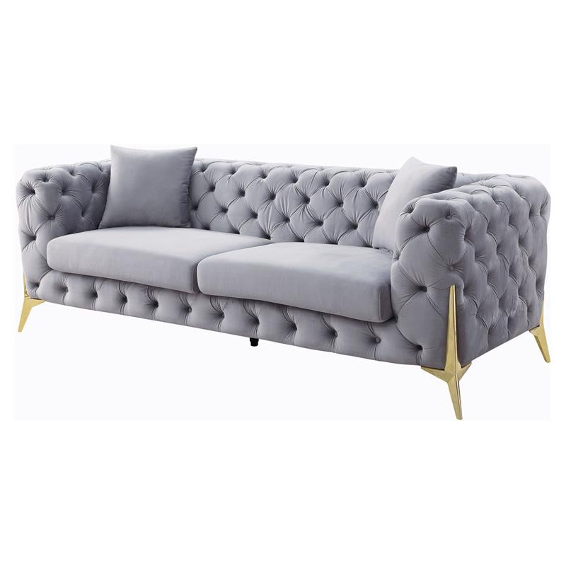 ACME Jelanea Velvet Tufted Upholstery Sofa with 2 Pillows in Gray and Gold