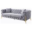 ACME Jelanea Velvet Tufted Upholstery Sofa with 2 Pillows in Gray and Gold