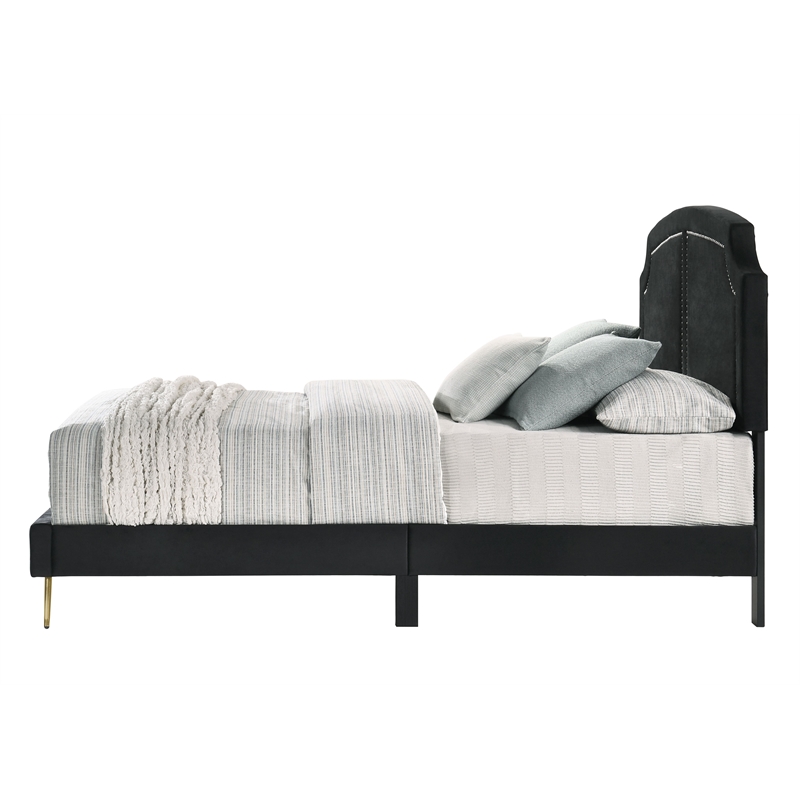 ACME Zeena Eastern King Bed in Black Velvet