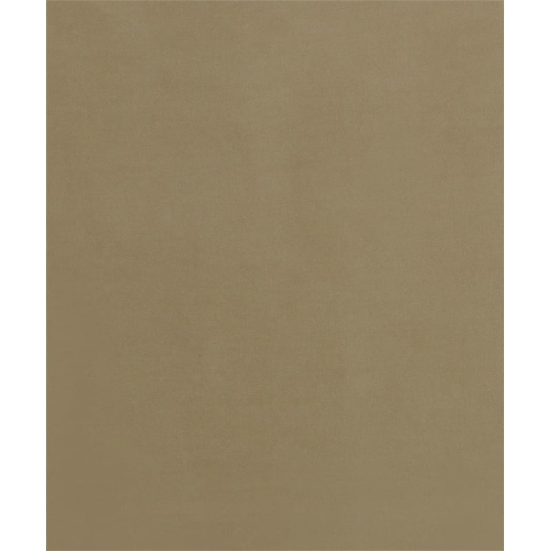 ACME Daesha Barrel Tight Back Loveseat Tan Flannel and Antique Gold