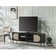 ACME Colson 2-door Wooden Rectangular TV Stand with Rattan Insert in Black