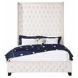 ACME Fabrice Tufted Velvet Queen Bed with Nailhead Trim in Beige