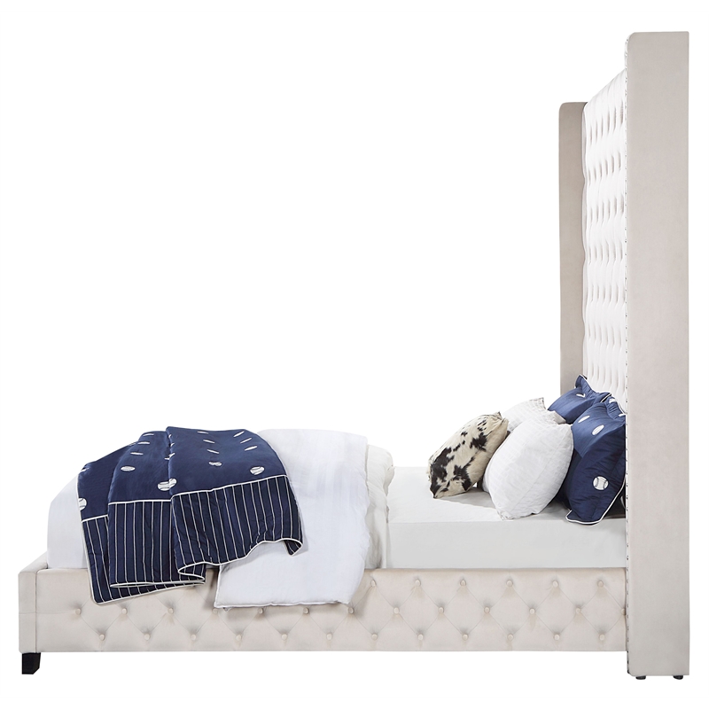 ACME Fabrice Tufted Velvet Queen Bed with Nailhead Trim in Beige
