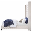 ACME Fabrice Tufted Velvet Queen Bed with Nailhead Trim in Beige