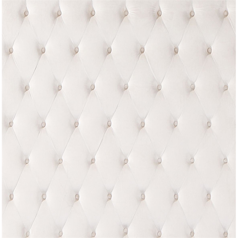 ACME Fabrice Tufted Velvet Queen Bed with Nailhead Trim in Beige