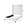 ACME Fabrice Tufted Velvet Queen Bed with Nailhead Trim in Beige