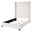 ACME Fabrice Tufted Velvet Queen Bed with Nailhead Trim in Beige