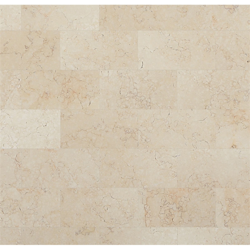 ACME Tayden Marble Top and Wooden Frame End Table in Natural and Black