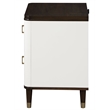 ACME Carena Wooden 2-Drawer Nightstand with USB in White and Brown