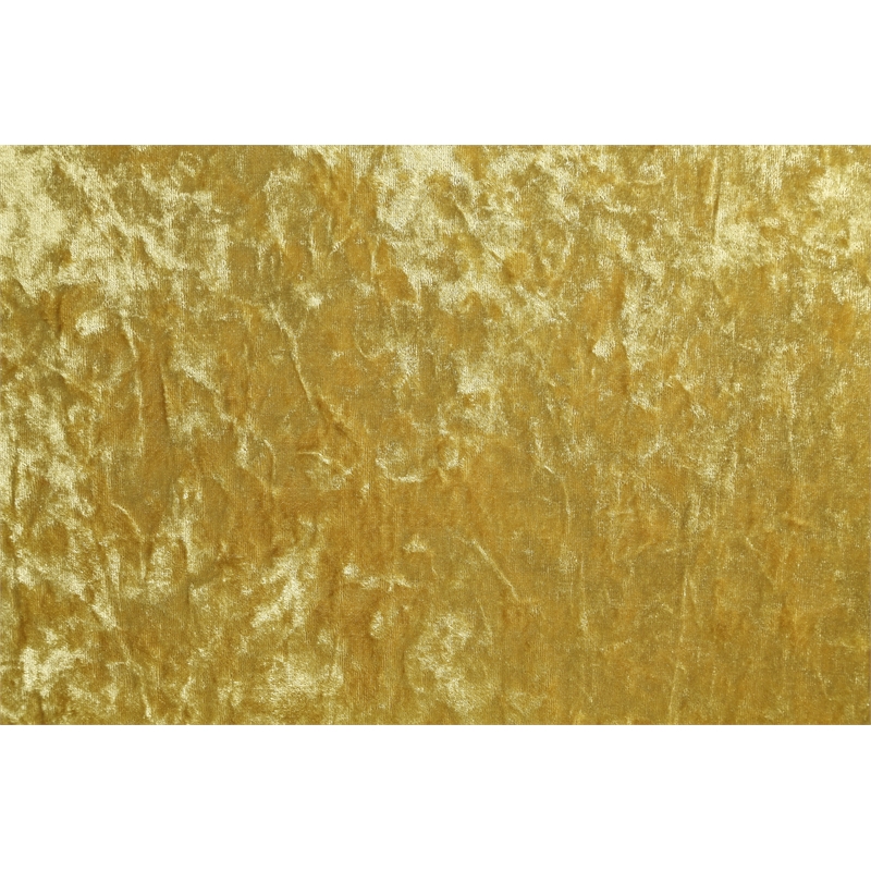 ACME Bernadette Wooden Arm Chairs in Gold (Set of 2)