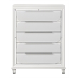 ACME Tarian Wooden Frame Rectangular 5 Drawers Chest in Pearl White