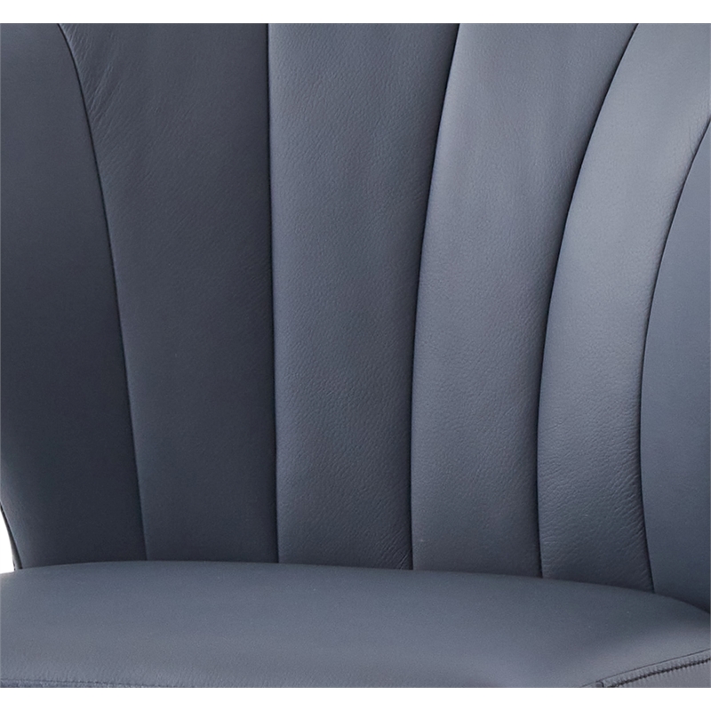 ACME Furniture Seraphyne 19