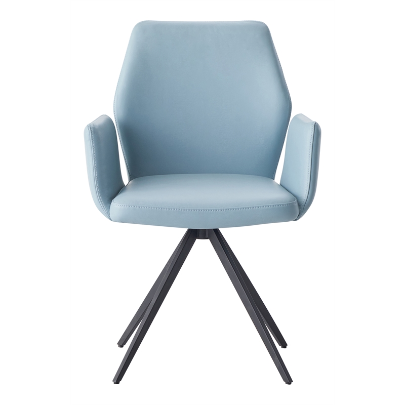 ACME Furniture Segismunda 19