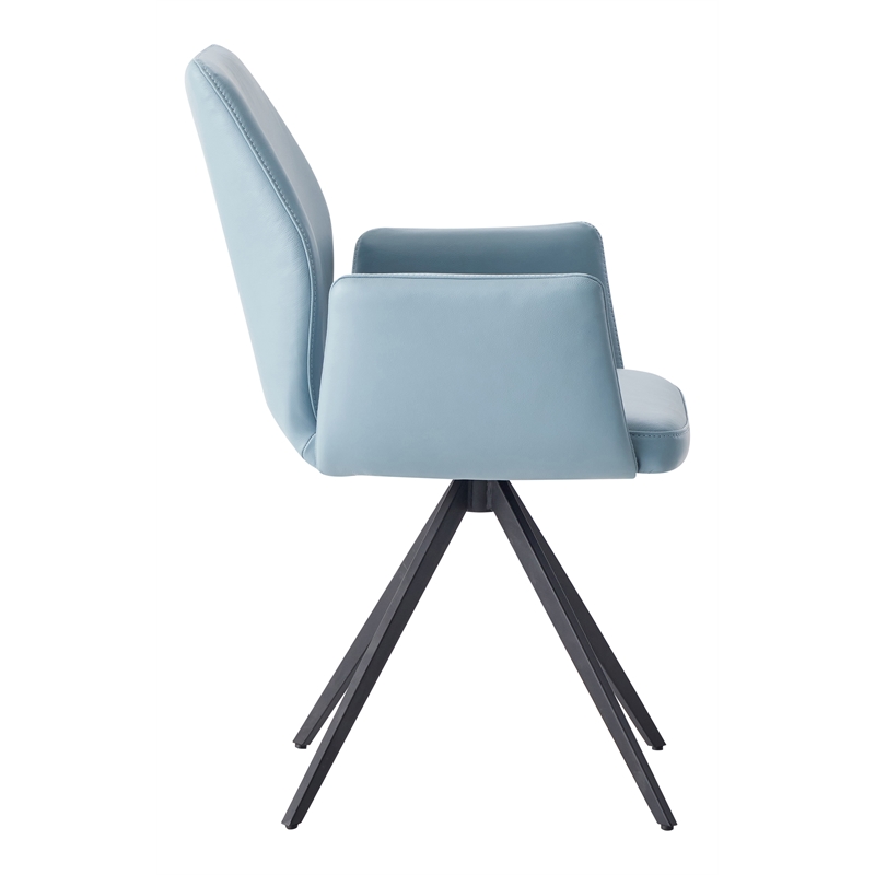 ACME Furniture Segismunda 19