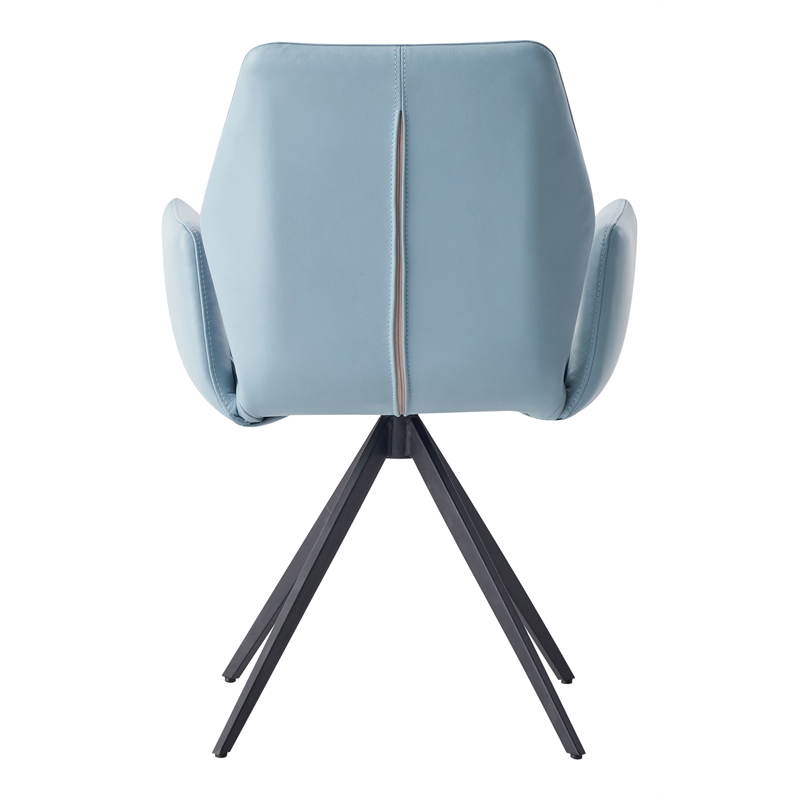 ACME Furniture Segismunda 19
