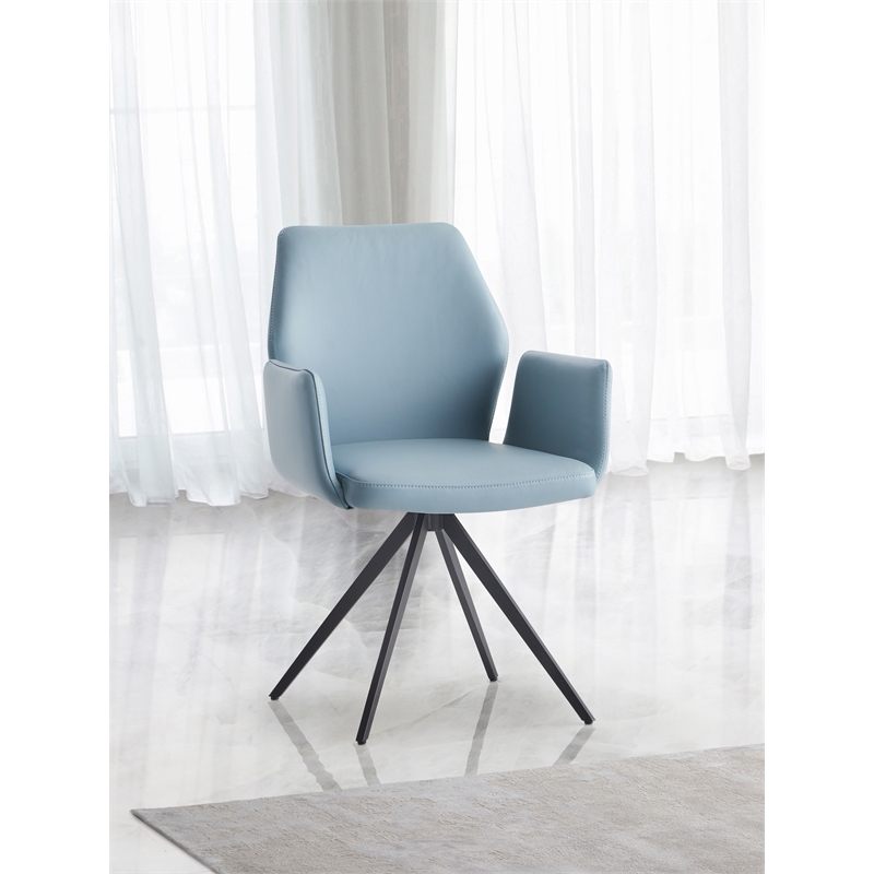ACME Furniture Segismunda 19