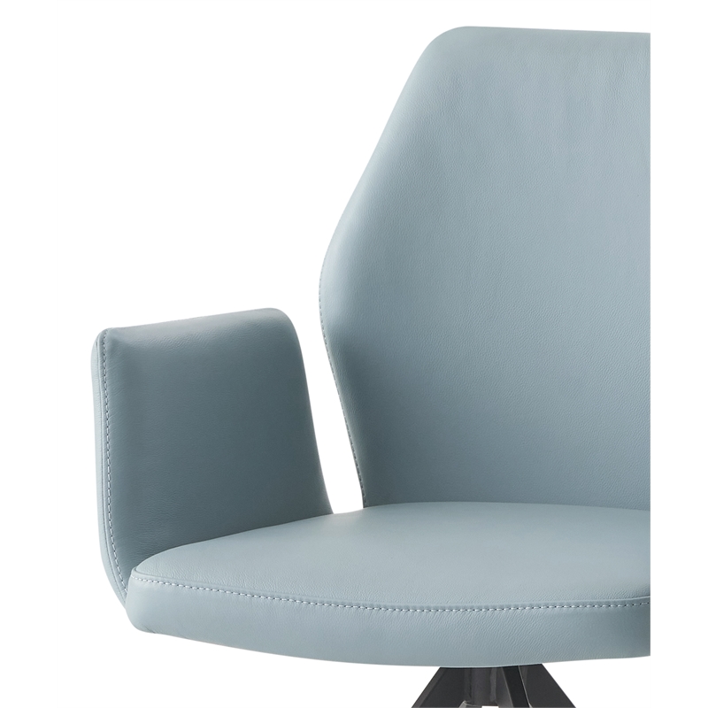 ACME Furniture Segismunda 19