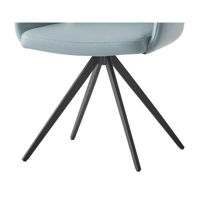 ACME Furniture Segismunda 19