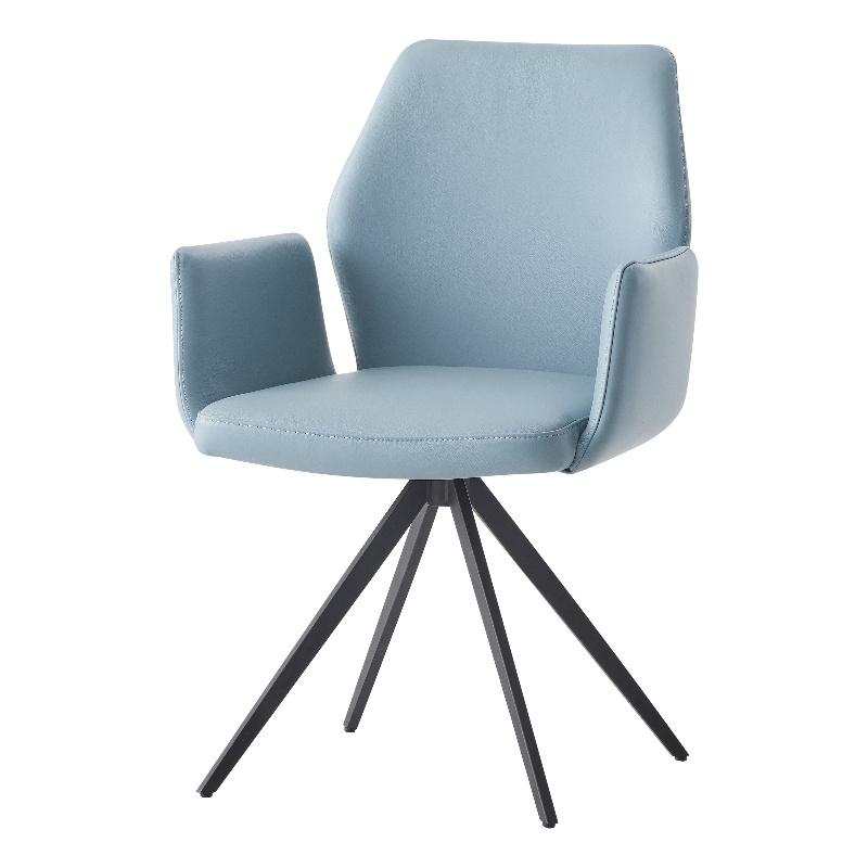 ACME Furniture Segismunda 19