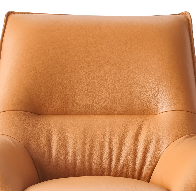 ACME Furniture Jabel Upholstered Leather Accent Chair and Ottoman in Tan