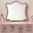 ACME Salonia Contemporary Velvet Upholstered/Wood Mirror in Pink