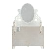 ACME Flora Contemporary Wooden Mirror with 2 Jewelry Drawers in White