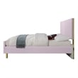 ACME Gaines Contemporary Wood/Metal Full Bed in Pink High Gloss