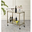 ACME Aditya Contemporary Metal Serving Cart in Mirrored and Antique Brass
