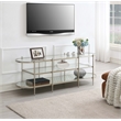 ACME Zaba Metal and Tempered Glass Oval TV Stand in Silver and Clear
