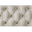 ACME Lucienne Velvet Upholstered Eastern King Bed with LED in Beige