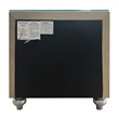 ACME Lucienne 2-Drawer Velvet Upholstered and Wood Nightstand in Beige