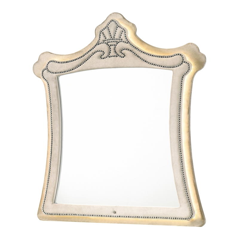 ACME Lucienne Velvet Upholstered and Wood Mirror with LED Lighting in Beige