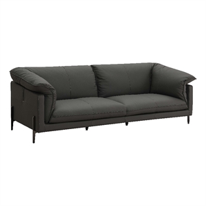 ACME Tadi Wood & Top Grain Leather Upholstered Sofa with Metal Legs in Black