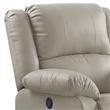 ACME Zuriel Power Motion Recliner w/USB in Beige Synthetic Leather