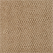 ACME Lidi Side Chair (Set-2) in Light Brown Boucle