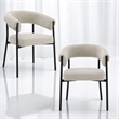 ACME Jirina Arm Chair (Set-2) in Beige Chenille & Black