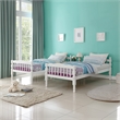 ACME Homestead Bunk Bed (T/T) in White