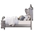 ACME Ariadne Queen Bed in Velvet & Antique Platinum