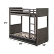 ACME Estevon Bunk Bed (T/T) w/Storage in Gray Oak
