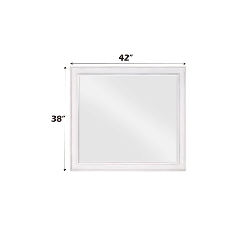 ACME Katia Mirror in Rustic Gray & Weathered White